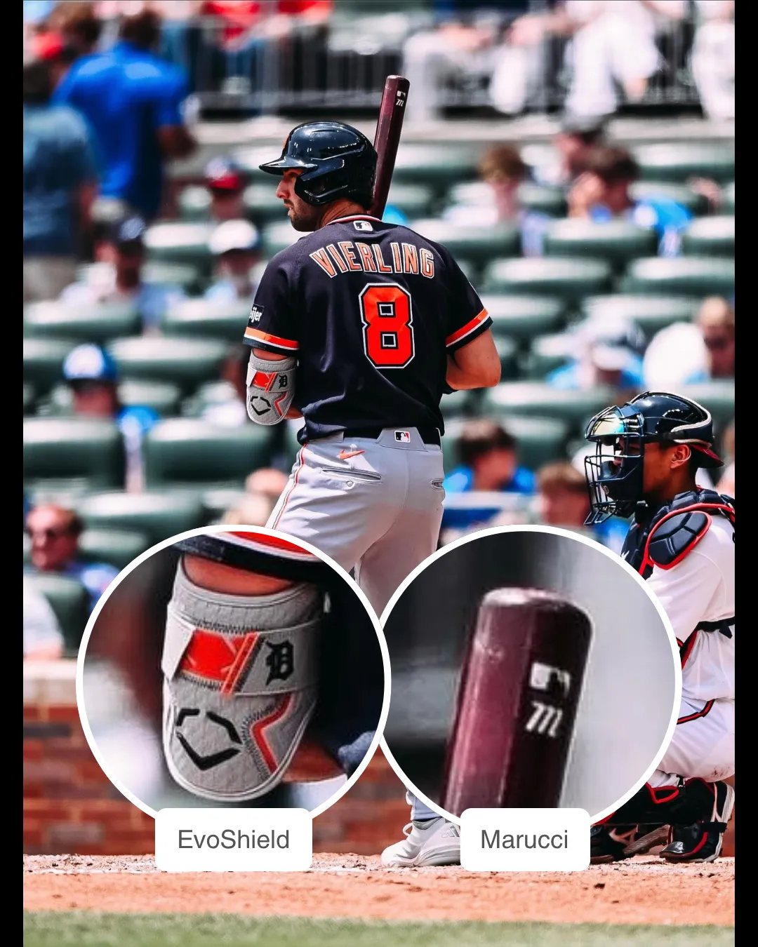 Matt Vierling showcasing his Marucci Bat and Evoshield Elbow guard