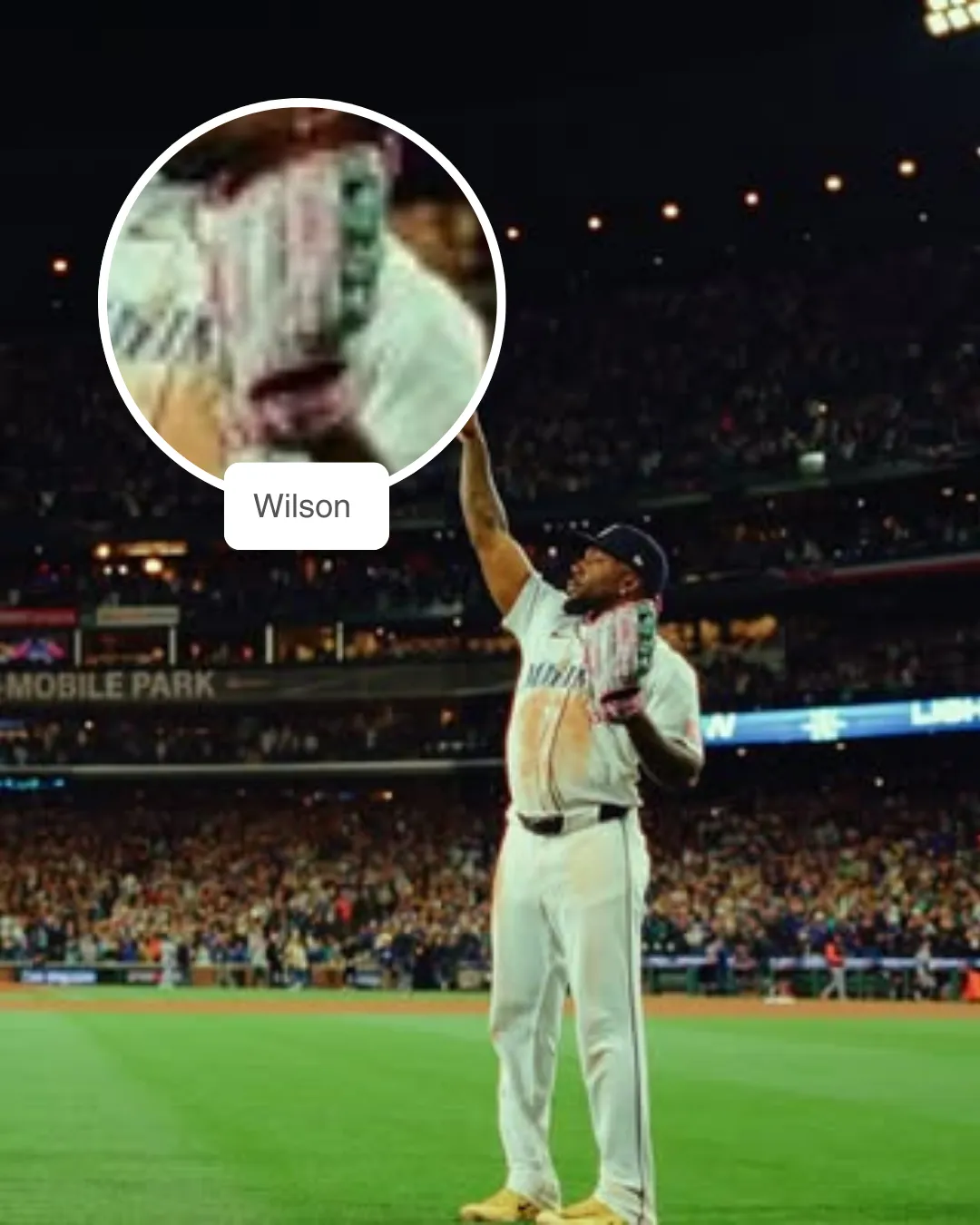 Randy Arozarena wearing wilson glove